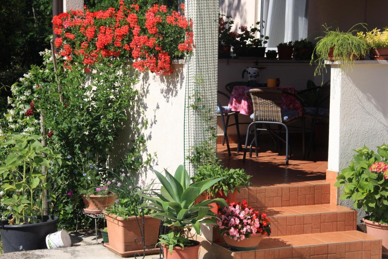 Apartman Rino Bašanija Екстериор снимка